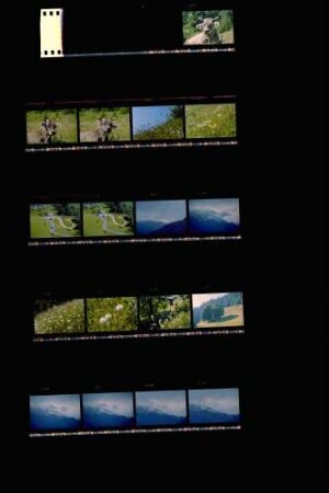 Landesschau-Bilder: Sommer