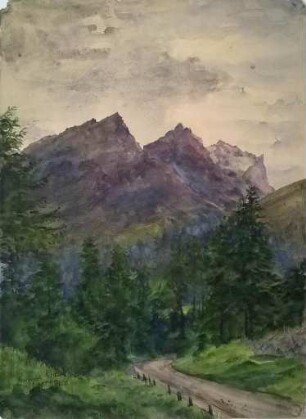 Julier und Albau [Albula] im Engadin
