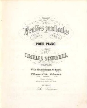 Pensées musicales : pour piano ; oeuvre 46. 3, Souvenir de Stirie