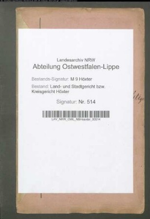 Ablösung der dem ehemaligen Fürstentum Corvey Meierpflichtigen in Boffzen.: Bd. C: Spezialgeldmasse.