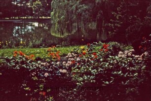 Kurpark, im Vordergrund Blumenbeet, dahinter Salzteich