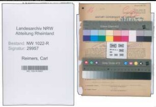 Entnazifizierung Carl Reimers , geb. 06.06.1901 (Arzt)