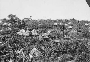 Foumban (Sammlung Rudolf Oldenburg, 1901-1913)