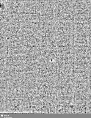 Lilienschild / KIRCHBERG = S.5/6
