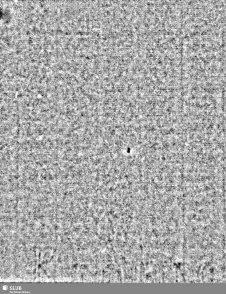 Lilienschild / KIRCHBERG = S.5/6