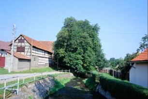 Wipfra mit befestigtem Ufer, großer Laubbaum, Gebäude