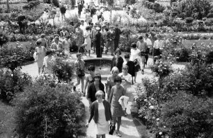 17. Tagung 1967 Chemiker; Maikäferrede: im Rosengarten