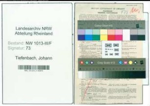 Entnazifizierung Johann Tiefenbach , geb. 01.02.1887 (Finanzbeamter)
