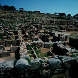 Kato Zakros. Palast. Die Schatzkammer im Westflügel des Palastes