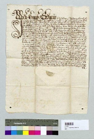 Hans Sedlmair zu Zeitldorn stellt für die Pfarrkirche St. Peter zu Wörth und den Kirchenpröpsten Hans Gerl, Ratsbürger zu Wörth, und Blasi Vösstner, Bürger zu Wörth, eine Schuldverschreibung aus. S: Johann Rainer, Pfleger zu Wörth