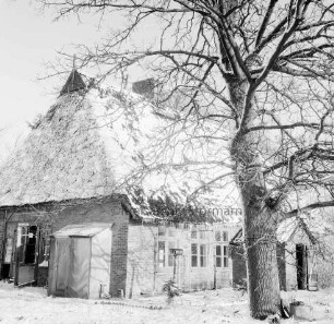 Reetdachkate mit mehreren kleinen Anbauten: rechts davor Baum: Gebäude der ehemaligen Dorfschule von 1835: Winter