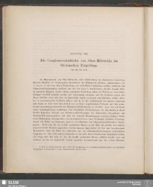 Kapitel VIII. Die Conglomeratschiefer von Ober-Mittweida im Sächsischen Erzgebirge