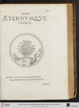 LXXXVI. Aeternvmqve tenet
