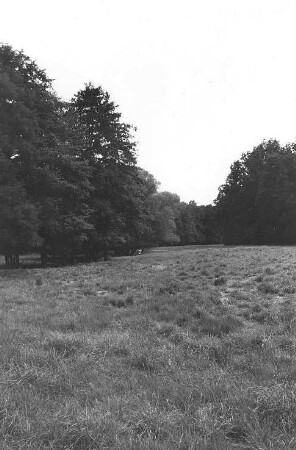 Kubschütz-Blösa. Albrechtsbach dicht unterhalb der Niedermühle