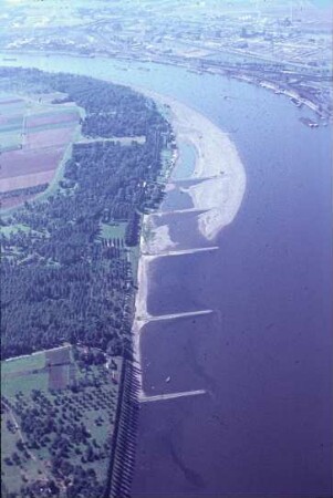 Rhein vor dem Ausbau 1962 bei Godorf-Langel