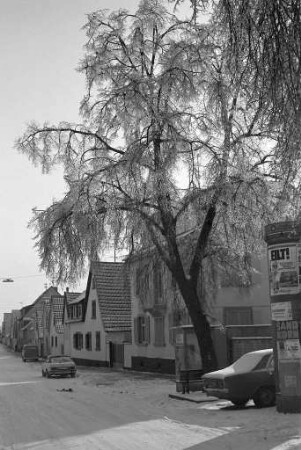 Winterstimmung in Knielingen