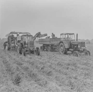 für Landwirtschaftstafeln
