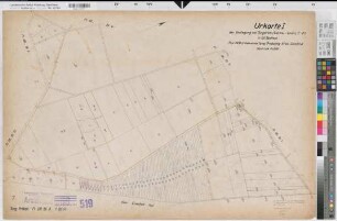 Tungerloh-Pröbsting (Gescher), Umlegung Tungerloh  Weißes Venn, Bl. 7 Urkarte I Tungerloh-Pröbsting Flur 28,3