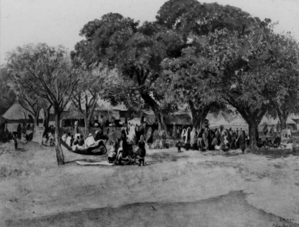 Marché de Mokwa (Babulini c Jebba-Zungwu) ( ?)