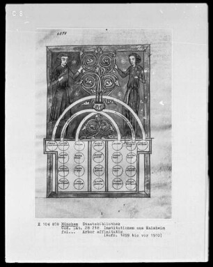 Institutionen aus Kloster Kaisheim — Arbor affinitatis