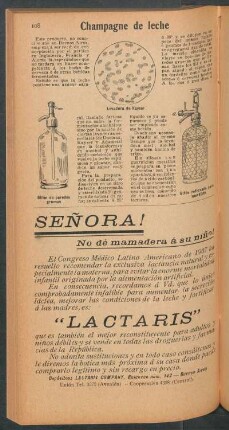 Champagne de leche