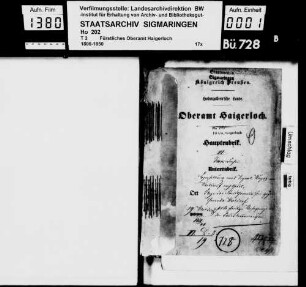 Herstellung eines Vizinalweges von Weildorf nach Gruol; Klage der Stadtgemeinde Haigerloch gegen die Gemeinde Weildorf wegen strittiger Banngrenze ob den Sauerbrunnenwiesen, mit 2 Plänen