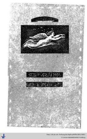 1801: Taschenbuch für Damen