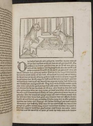 Katze, die der Richter ist, Hase und Vogel in ihrem Gemach; (Kapitel V: Von den Raben und den Aaren).
