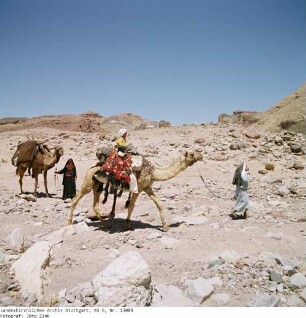 Wanderung, Aufbruch - Sinai - Familie Salem