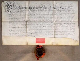 Heiligenstadt, 1704.11.17. Geburtsbrief für den Schuhmacher Nikolaus Dölle von Heiligenstadt (Eichsfeld, RB. Erfurt). Aussteller: Stadt