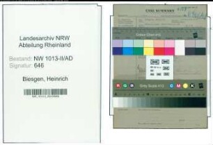 Entnazifizierung Heinrich Biesgen , geb. (Bueroangestellter)
