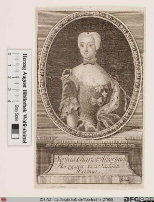 Bildnis Sophie Charlotte Albertine, Herzogin zu Sachsen-Weimar, geb. Markgräfin zu Brandenburg-Bayreuth
