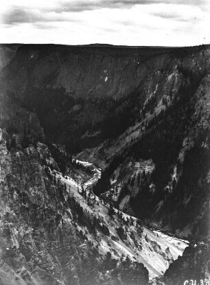 Grand Canyon of the Yellowstone : Blick auf den Grand Canyon of the Yellowstone, eine V-förmige Schlucht im Yellowstone-Nationalpark, durch welche der Yellowstone River fließt.