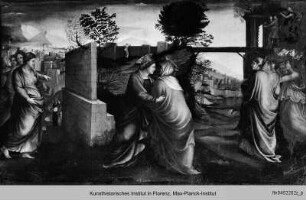 Anbetung der Könige : Predella mit Szenen aus dem Leben Mariens