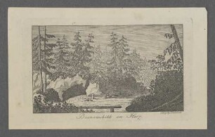 Baumannshöhle am Harz.