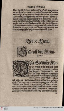 Titul X. Strass deß MeynEydts
