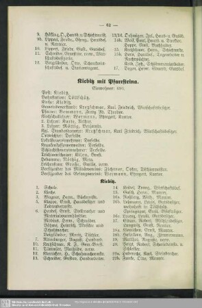 Kiebitz mit Pfarrsteina