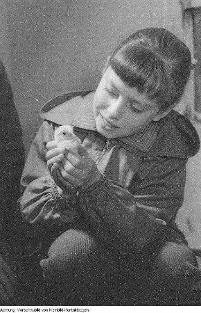 Heinrich Dathe mit Blindenhund, Laubfrosch unter Sonnenhut, junger Turmfalke, 1956