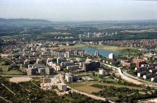 Freiburg: Berliner Allee mit Bischofslinde