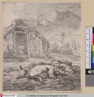 [The three Pigs in the Front of the Pigsty; Three sleeping Pigs; Les trois cochons couches devant l'etable; Drei schlafende Schweine vor dem Schweinestall]