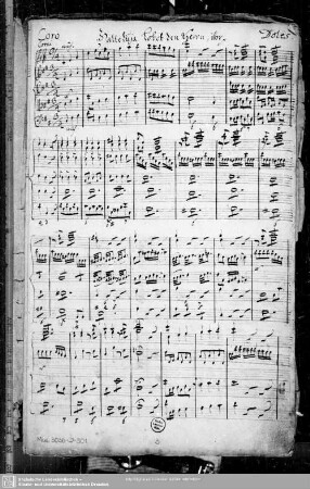 Coro: Halleluja lobet den Herrn