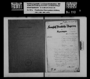Unterbringung Geisteskranker in Irrenanstalten, allgemein
