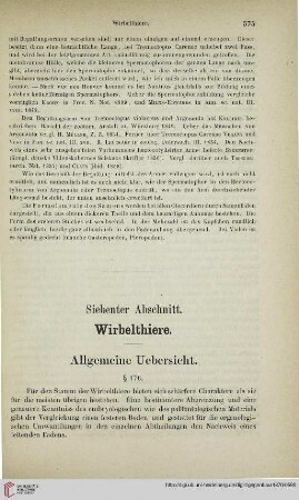Siebenter Abschnitt: Wirbelthiere