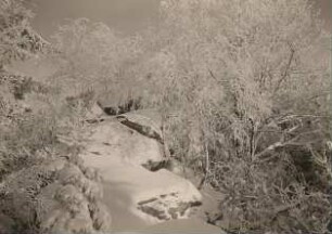 Oberlausitz. Döhlener Berg, Winterbild: Auf dem Felskamm