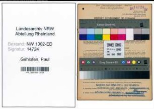 Entnazifizierung Paul Gehlofen, geb. 25.12.1885 (Kunstmaler)