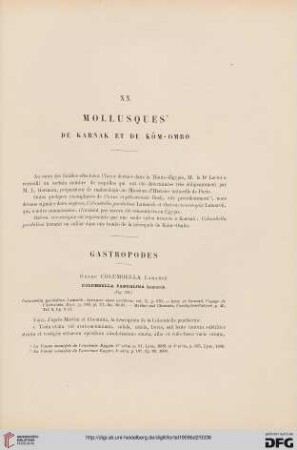 XX: Mollusques
