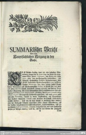 Summarischer Bericht Von dem Hauptsächlichen Hergang in der Sache