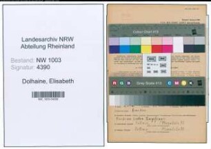 Entnazifizierung Elisabeth Dolhaine , geb. 19.12.1905 (Wirtschafterin)