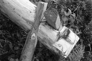 "Ungewollte" Plastik aus Holzscheiten am Rinken