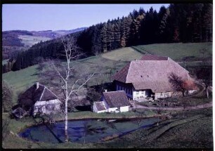 Schweighausen: Pflingsthof, Vordergrund Weiher, von höher
